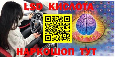 прущие крисы Краснознаменск