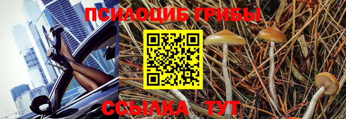 Галлюциногенные грибы GOLDEN TEACHER Камень-на-Оби