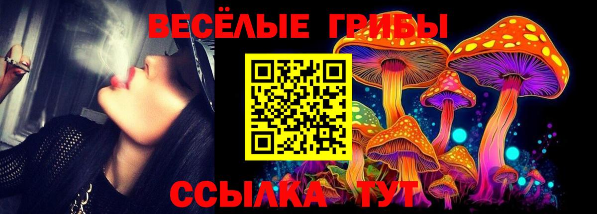 Галлюциногенные грибы ЛСД  Галлюциногенные грибы Magic Shrooms  Вход с VPN  Камень-на-Оби 